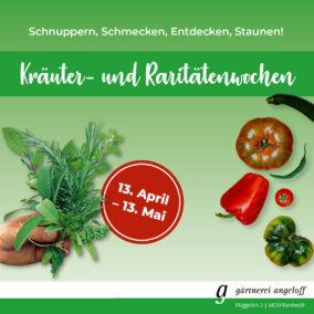 284x284px_Newsletter_Kraeuterwochen