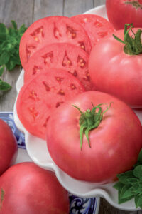 Tomato 14115A